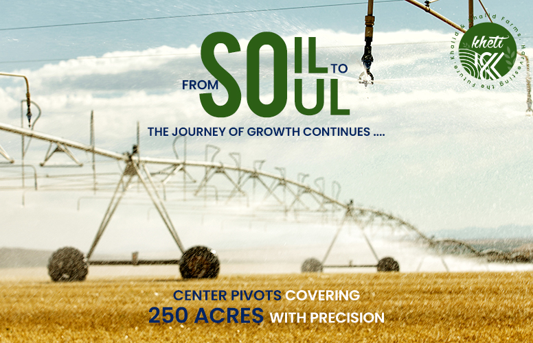 KHETI is Changing the Game with Smart Irrigation